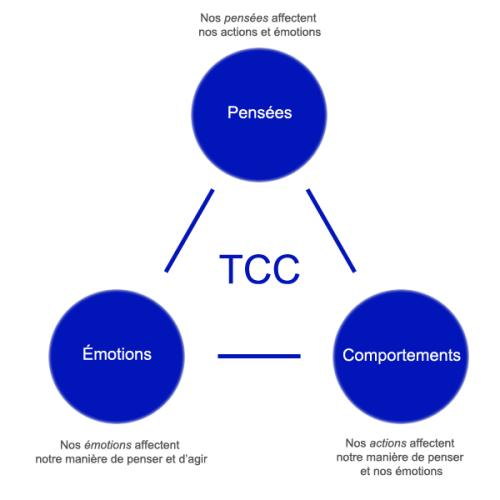 CBT schema_0